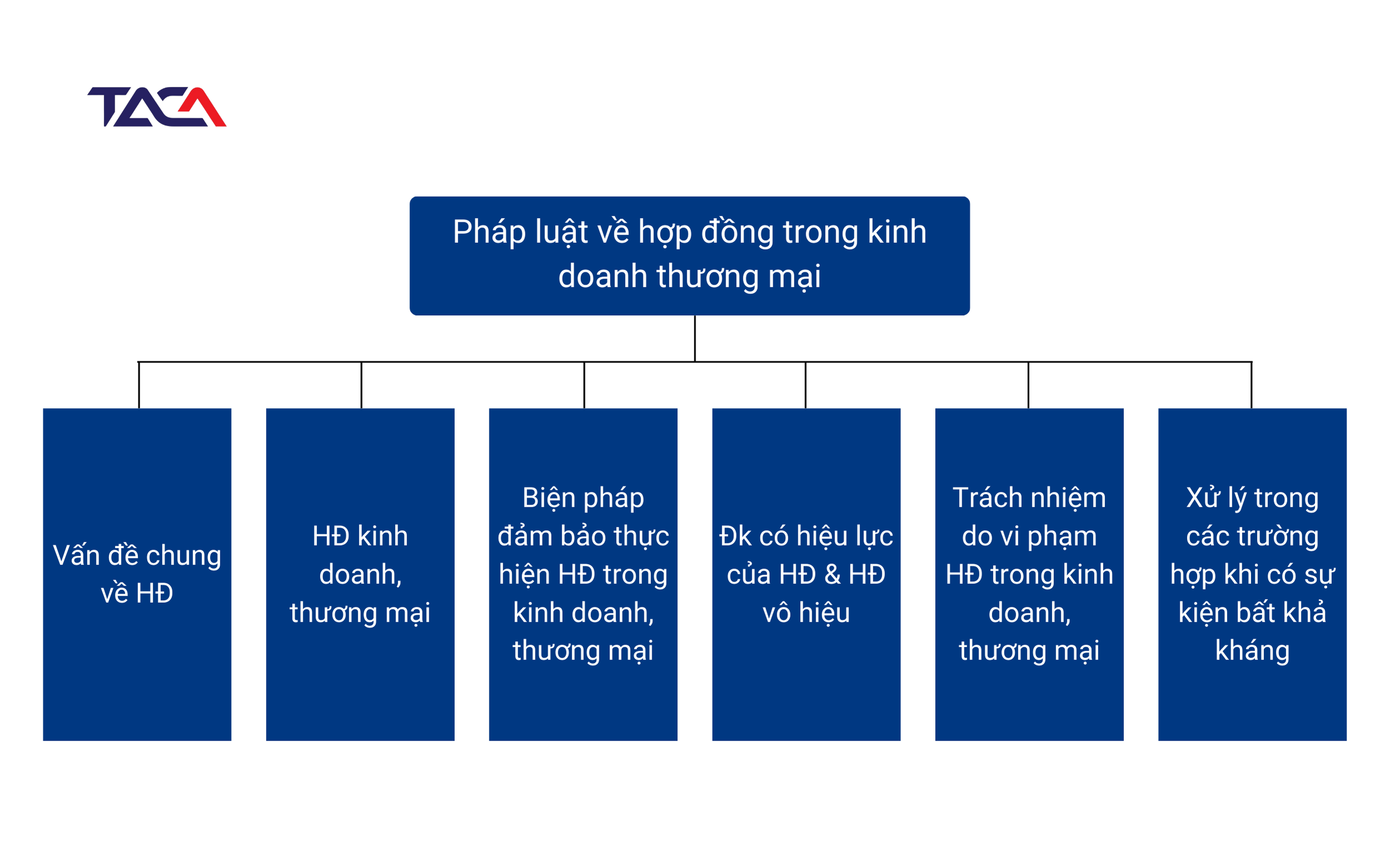 bài tập chuyên đề hợp đồng trong kinh doanh thương mại