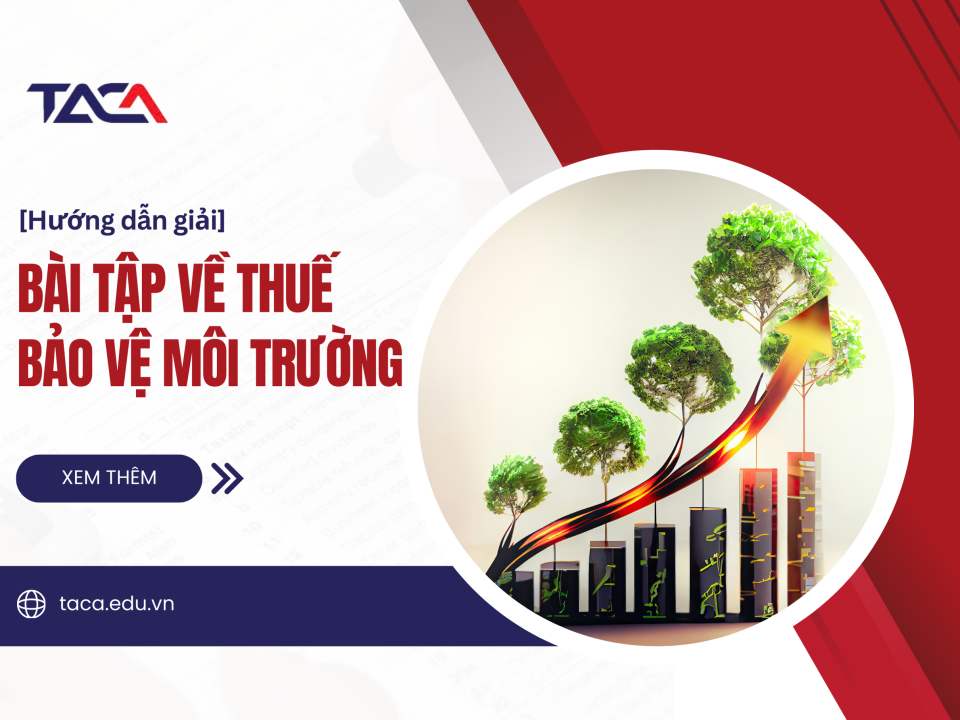 2 Cách hiệu quả giúp ăn trọn điểm bài tập tính thuế bảo vệ môi trường - Tăng tỷ lệ vượt qua kỳ thi Đại lý thuế dễ dàng