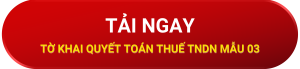 [Tải ngay] Tờ khai quyết toán thuế thu nhập doanh nghiệp mẫu 03/TNDN theo Thông tư 80