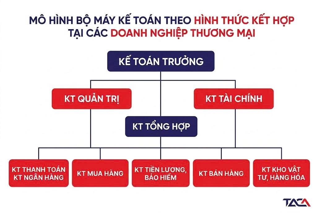 Tổ chức bộ máy kế toán công ty thương mại hoạt động hiệu quả